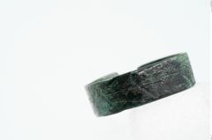 Foto von Bronzering (NHMW-PRAE-025442)